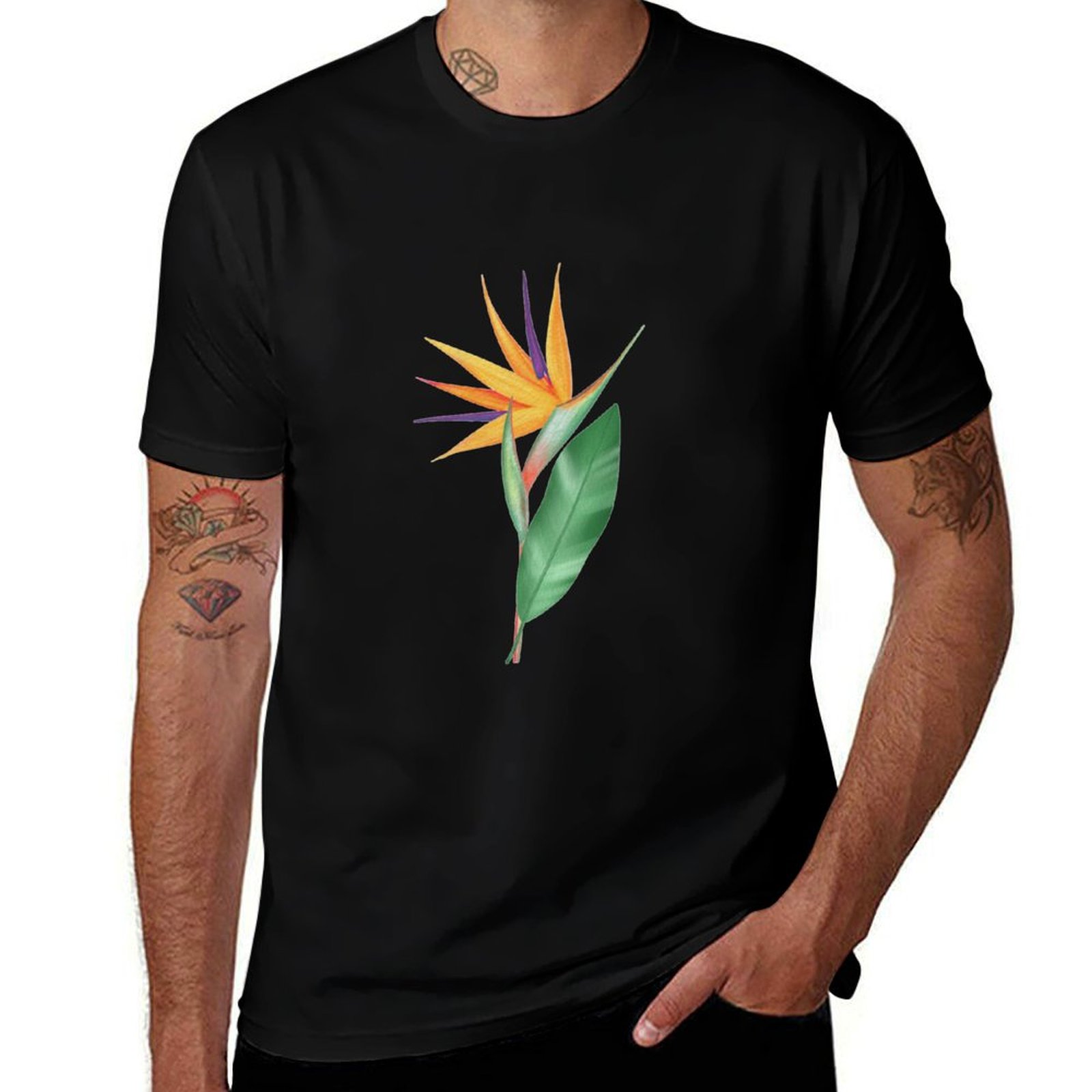 Bird Paradise Strelitzia - Watercolor bird of paradise flower or