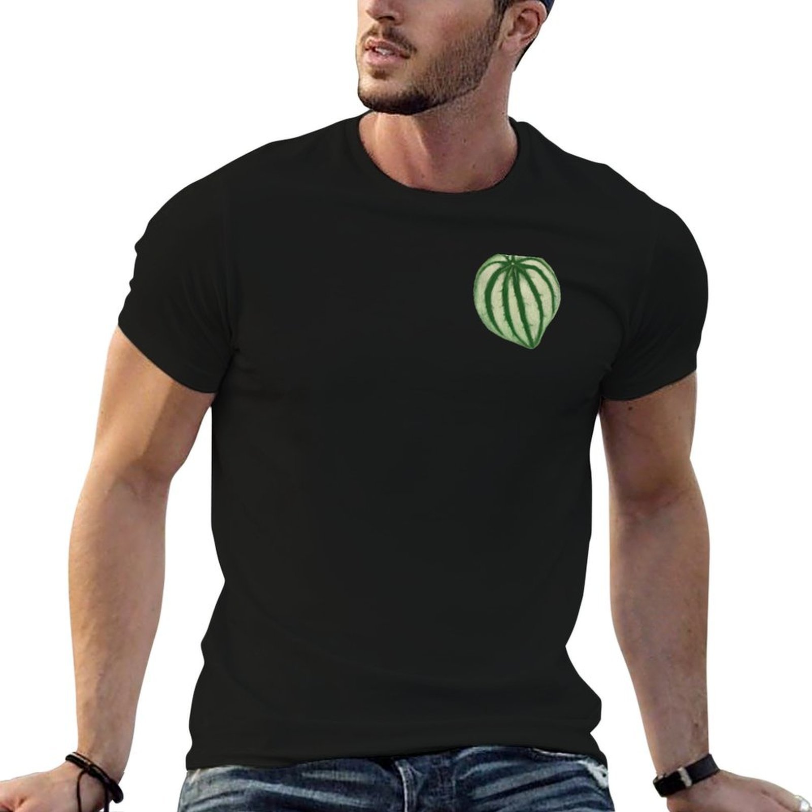 Peperomia Watermelon - Watermelon Peperomia T-Shirt Dry Fit Running
