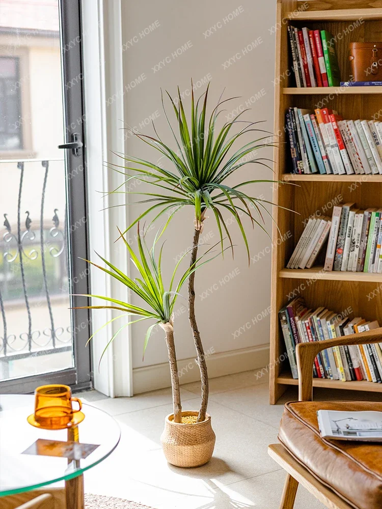 Dracaena Marginata - Light Luxury Simulation Green Plant Agave