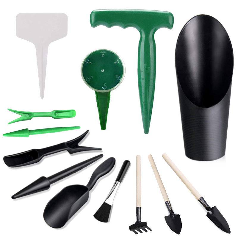 Echeveria Succulent - Mini Gardening Tool Set Label Board