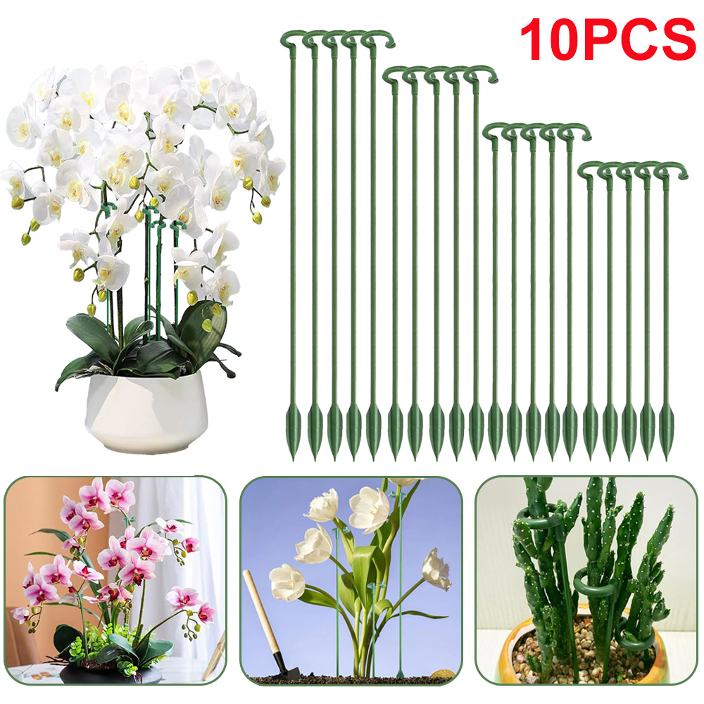 Echeveria Succulent - 5/10pcs Plant Support Stakes Potted Flower