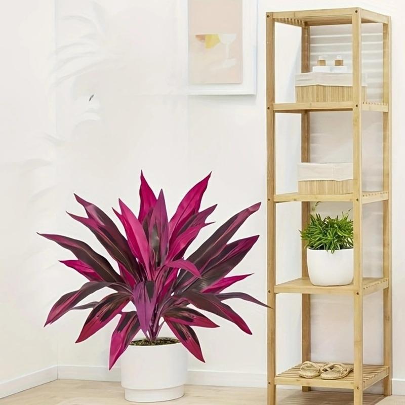 60cm Tall Artificial Dracaena  - Dracaena Marginata ulasan dan harga