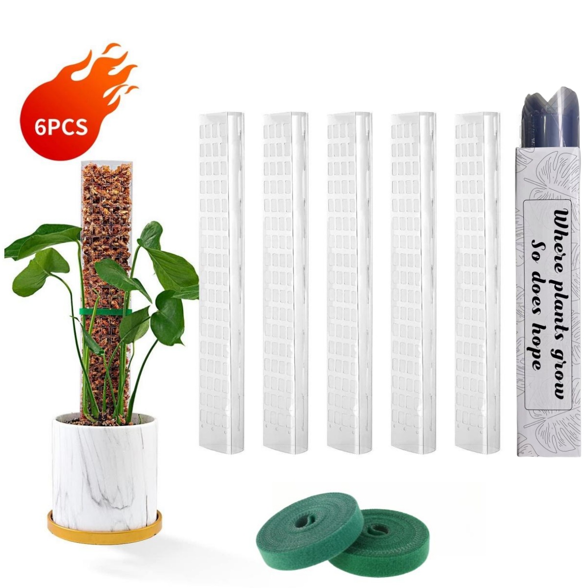Moss Poles Plants Plant Suppor - Echeveria Succulent ulasan dan harga