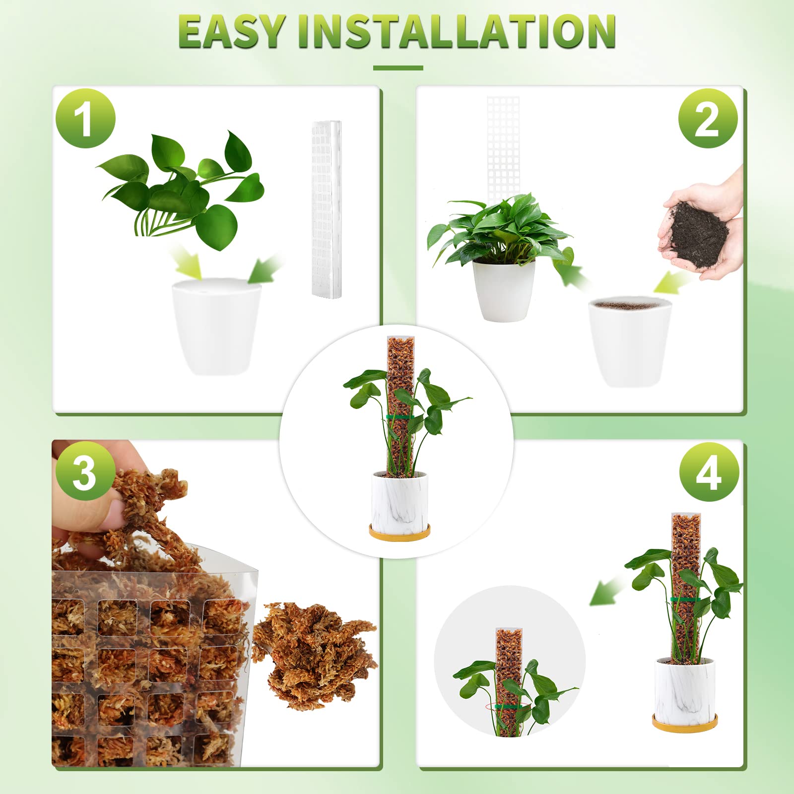 Moss Poles Plants Plant Suppor - Echeveria Succulent ulasan dan harga
