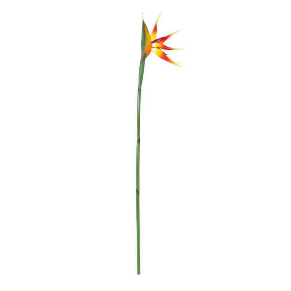 Long Stem Artificial Bird of P - Bird Paradise Strelitzia ulasan dan harga