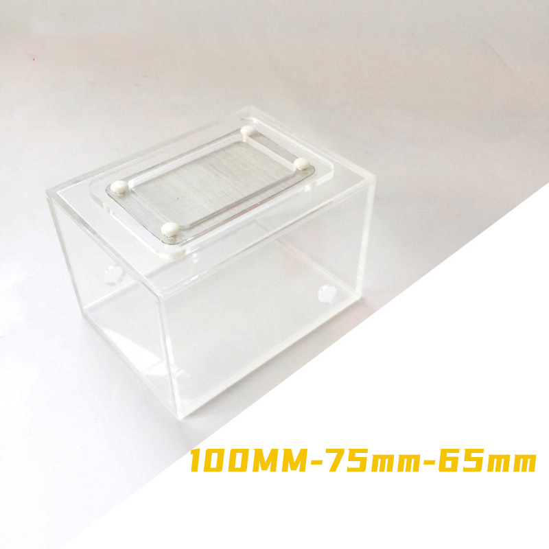 Acrylic Finished Seamless Ant  - Begonia Rex ulasan dan harga