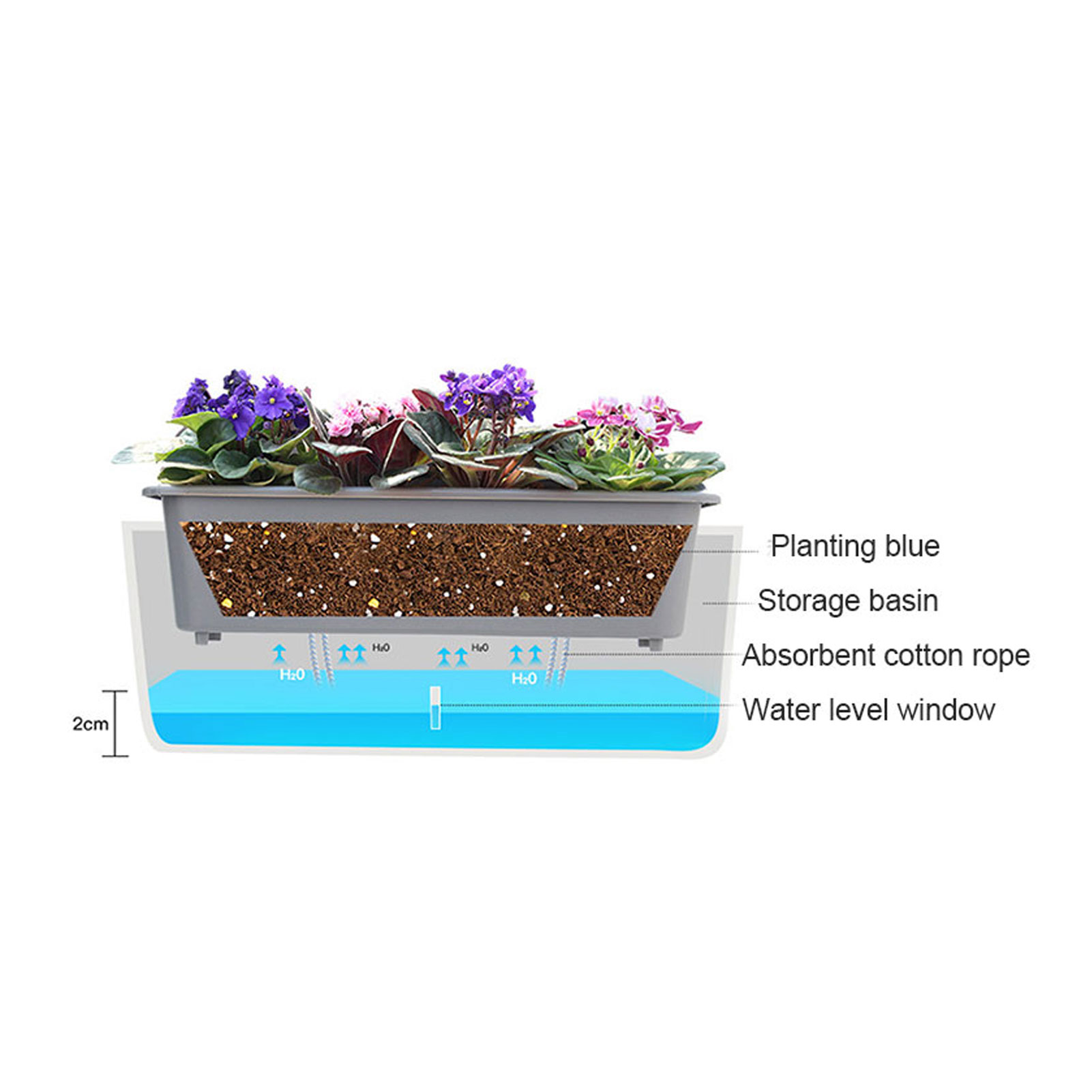Self-Watering Planter Pots wit - Aloe Vera Pot ulasan dan harga