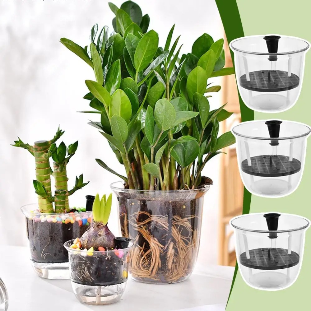 2Pcs Self-Watering Pot, Pots f - Aloe Vera Pot ulasan dan harga
