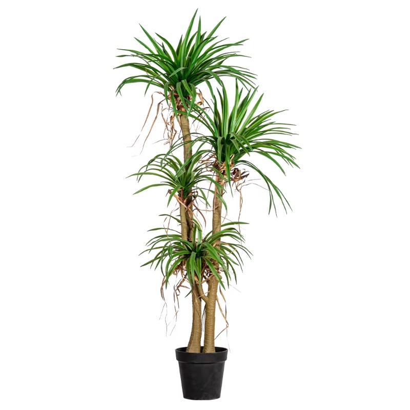 Indoor/Outdoor Home Tree Simul - Dracaena Marginata ulasan dan harga