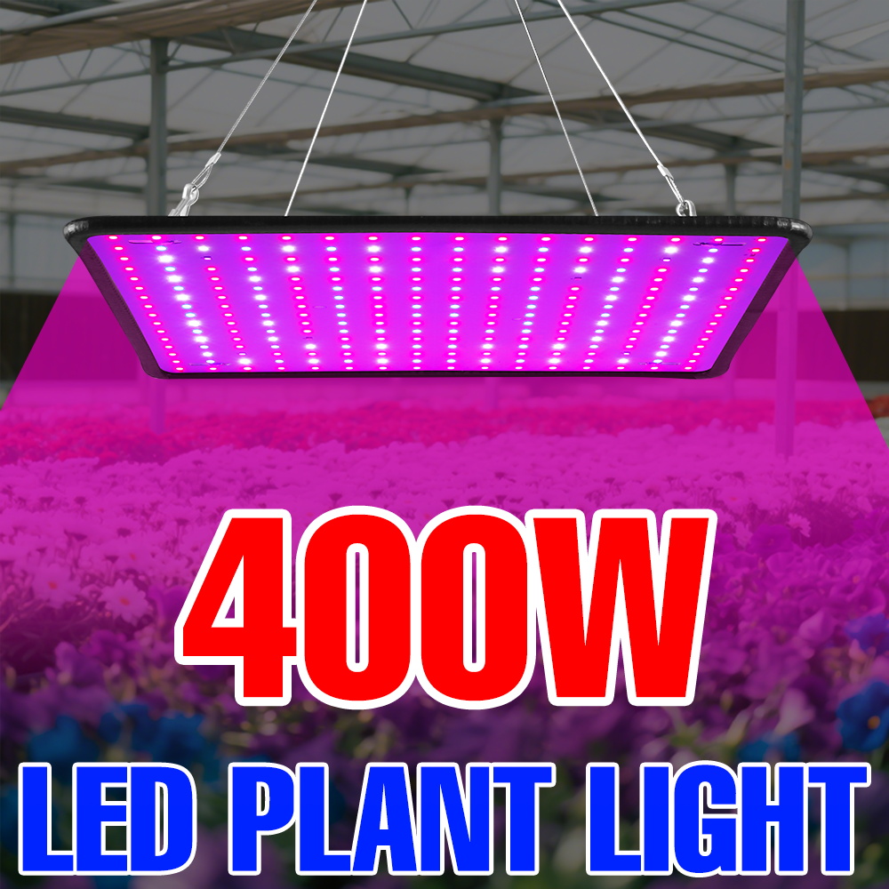 400W LED Grow Light Full Spect - Echeveria Succulent ulasan dan harga