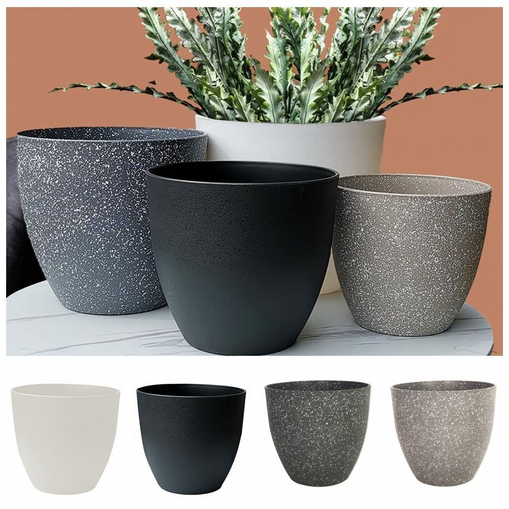 Frosted Imitation Stone Flower - Aloe Vera Pot ulasan dan harga