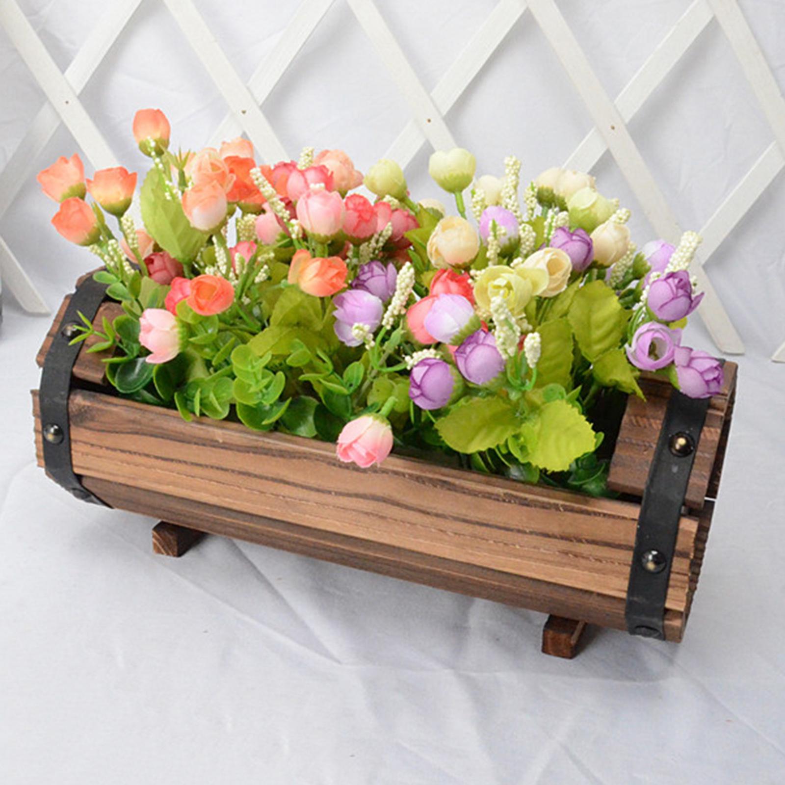 Antique Decorative Flower Pot  - Echeveria Succulent ulasan dan harga