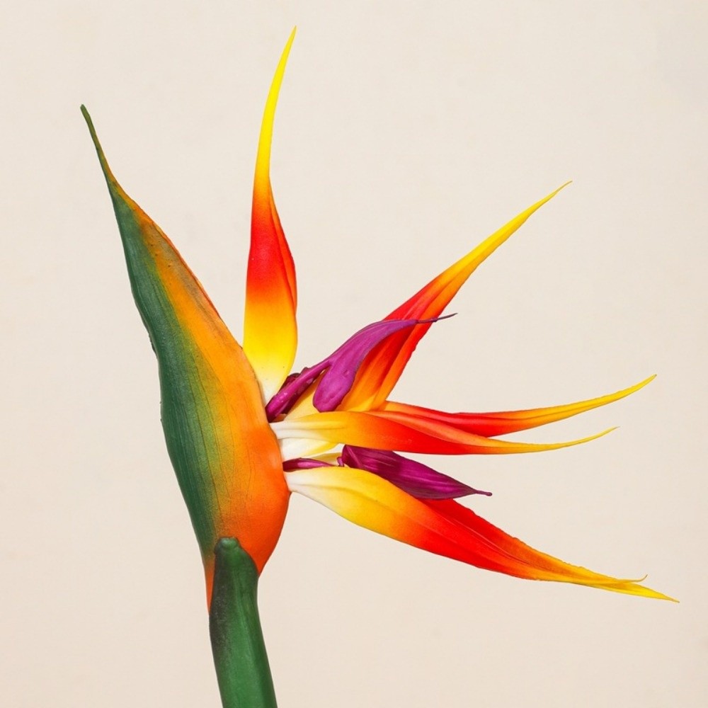New Long Stem Artificial Bird  - Bird Paradise Strelitzia ulasan dan harga
