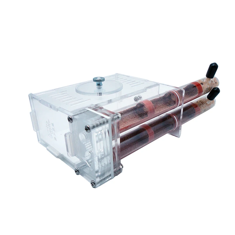 DIY Ant Farm 2 pcs 18-180mm Gy - Begonia Rex ulasan dan harga