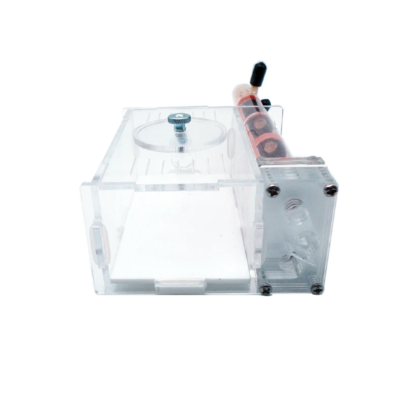 DIY Ant Farm 2 pcs 18-180mm Gy - Begonia Rex ulasan dan harga