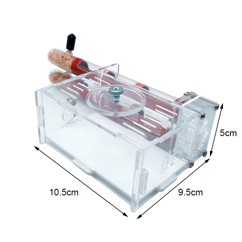 DIY Ant Farm 2 pcs 18-180mm Gy - Begonia Rex ulasan dan harga