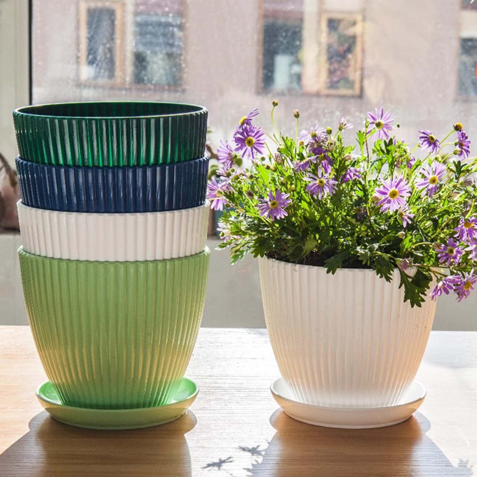 Vertical Striped Thickened Pla - Aloe Vera Pot ulasan dan harga