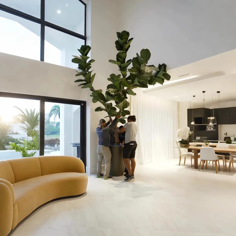 Artificial Plants Indoor Potte - Ficus Lyrata Tree ulasan dan harga