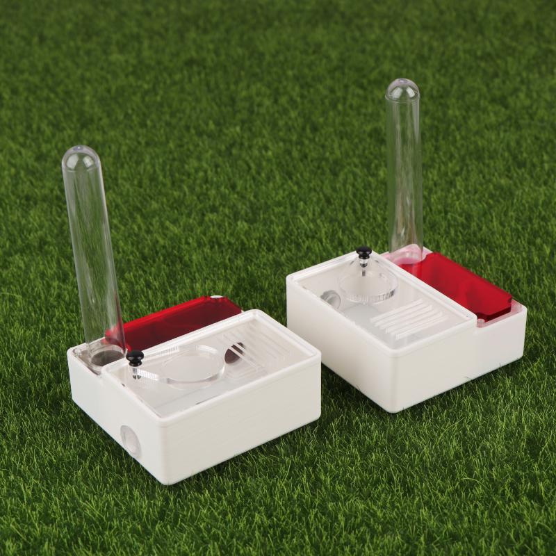 1Pcs Ant Farm Queen Ant's Nest - Begonia Rex ulasan dan harga