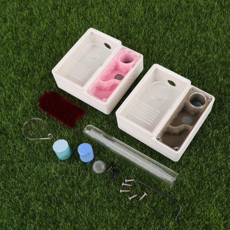 1Pcs Ant Farm Queen Ant's Nest - Begonia Rex ulasan dan harga