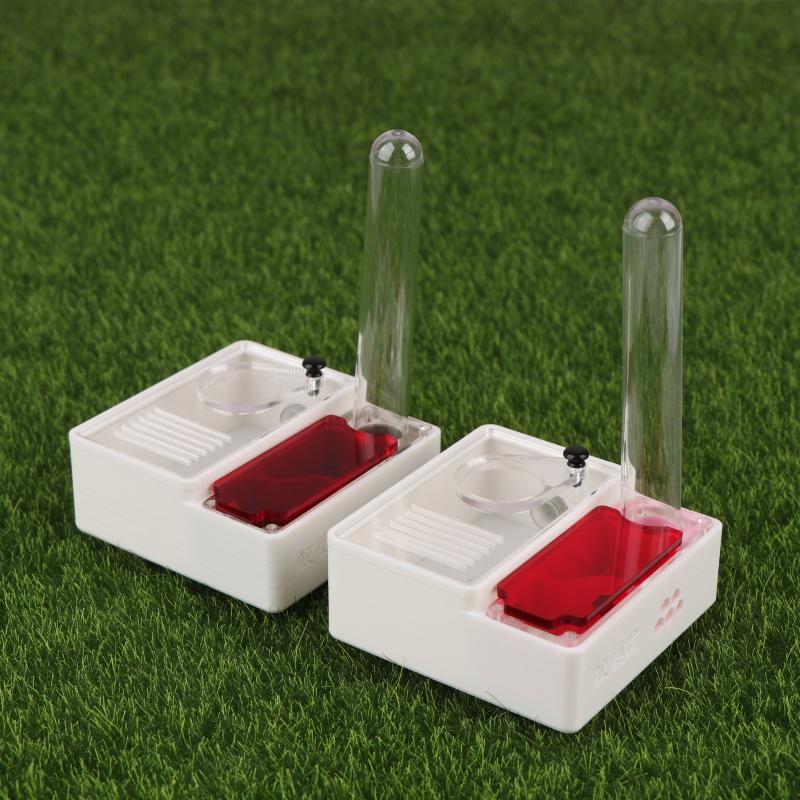 1Pcs Ant Farm Queen Ant's Nest - Begonia Rex ulasan dan harga