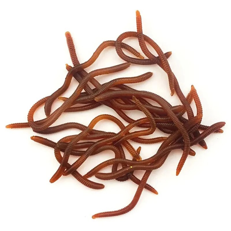 Lifelike Fishy Smell Red Soft  - Aglaonema Red ulasan dan harga