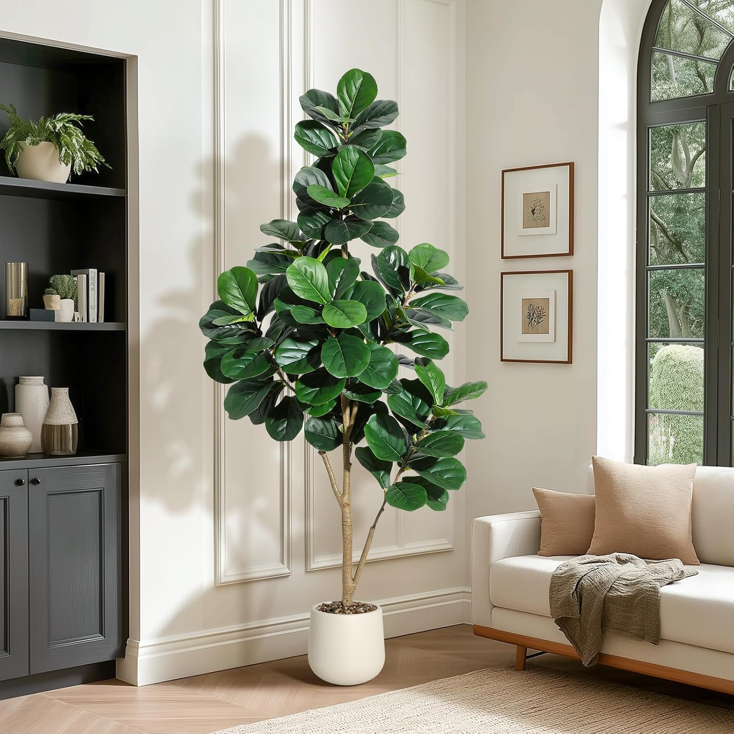 4-7 FT Fiddle Leaf Fig Tree Ar - Ficus Lyrata Tree ulasan dan harga