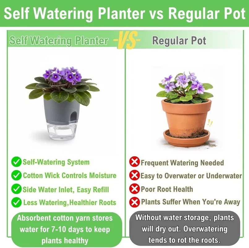 5/1Pcs Self Watering Plastic F - Aloe Vera Pot ulasan dan harga