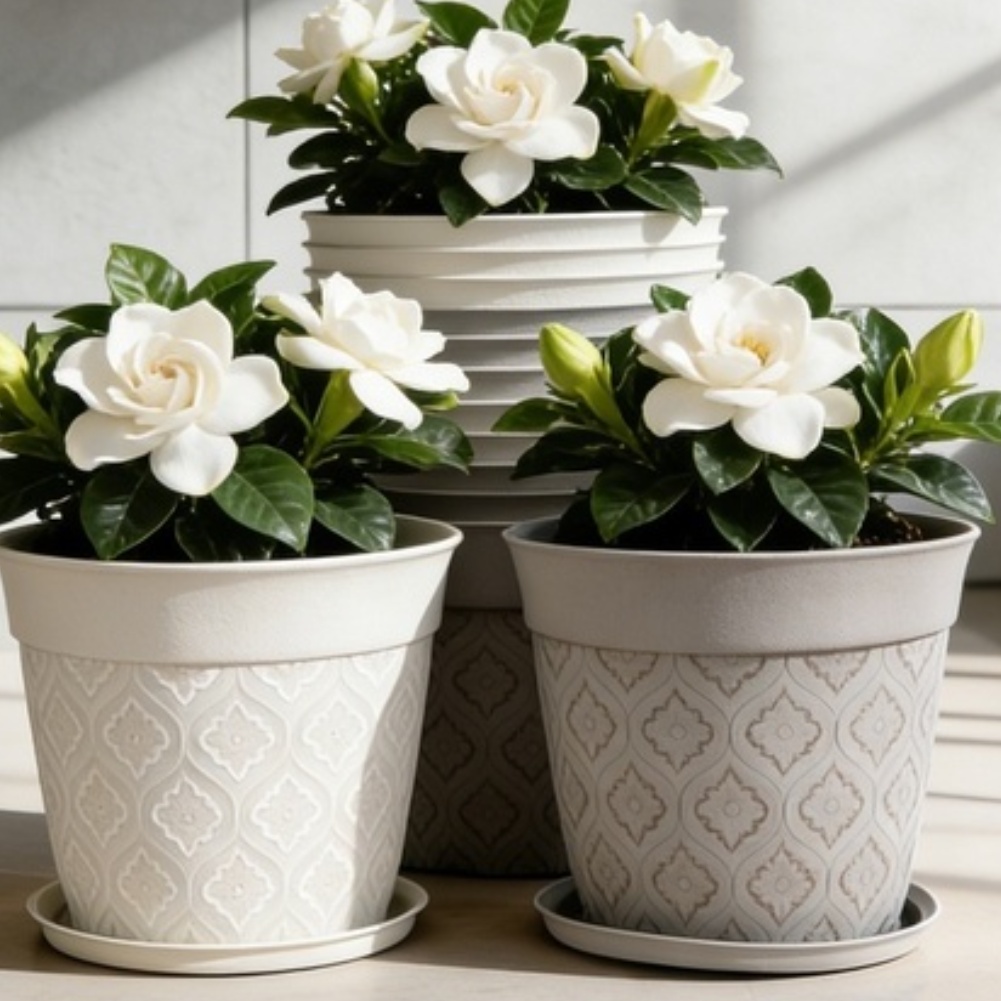8in Flower Pot With Drainage H - Echeveria Succulent ulasan dan harga