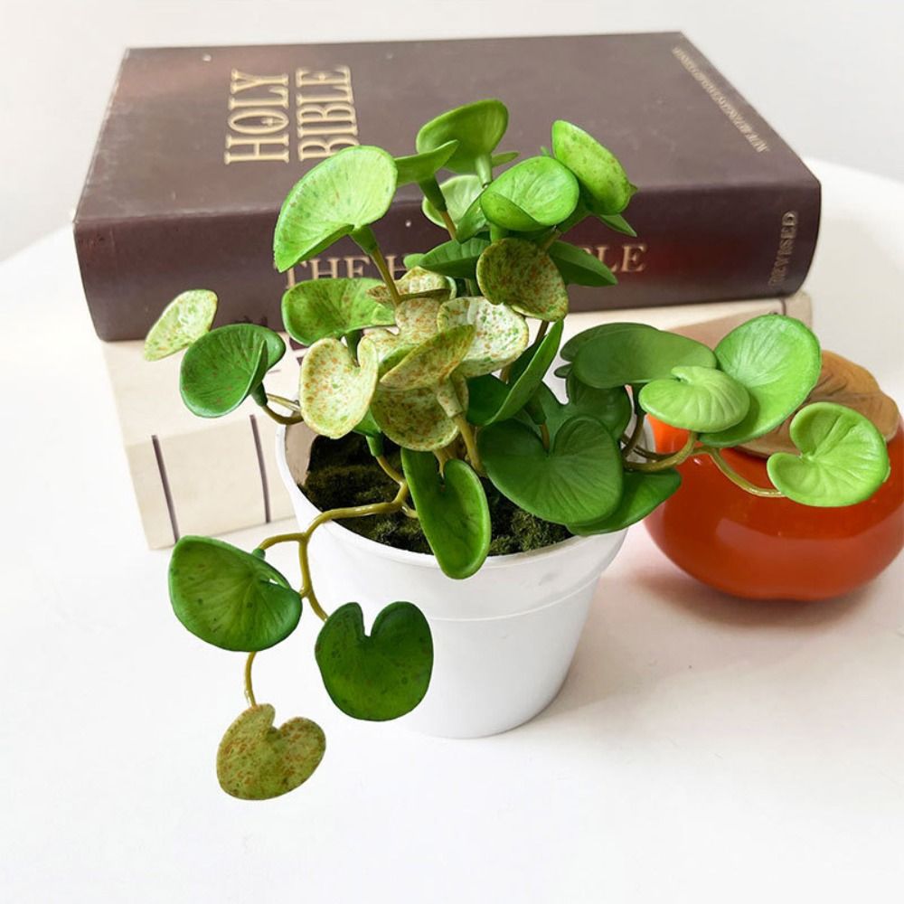 Soft Glue Artificial Plant EVA - Echeveria Succulent ulasan dan harga