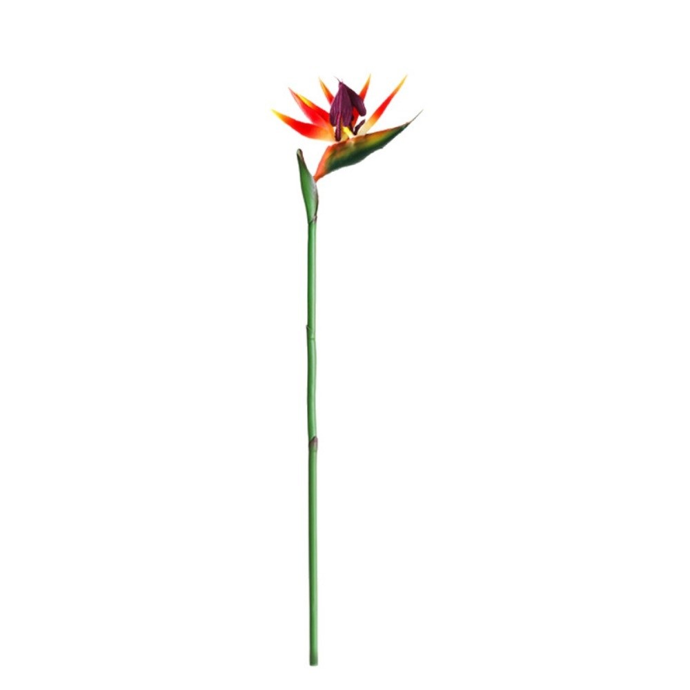 Long Stem Artificial Bird of P - Bird Paradise Strelitzia ulasan dan harga