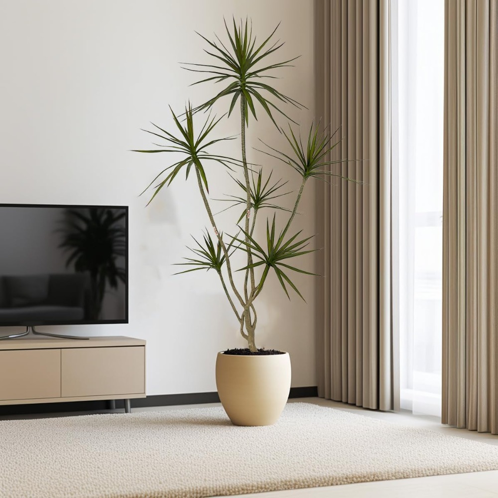 6ft Tall Artificial Dracaena M - Dracaena Marginata ulasan dan harga