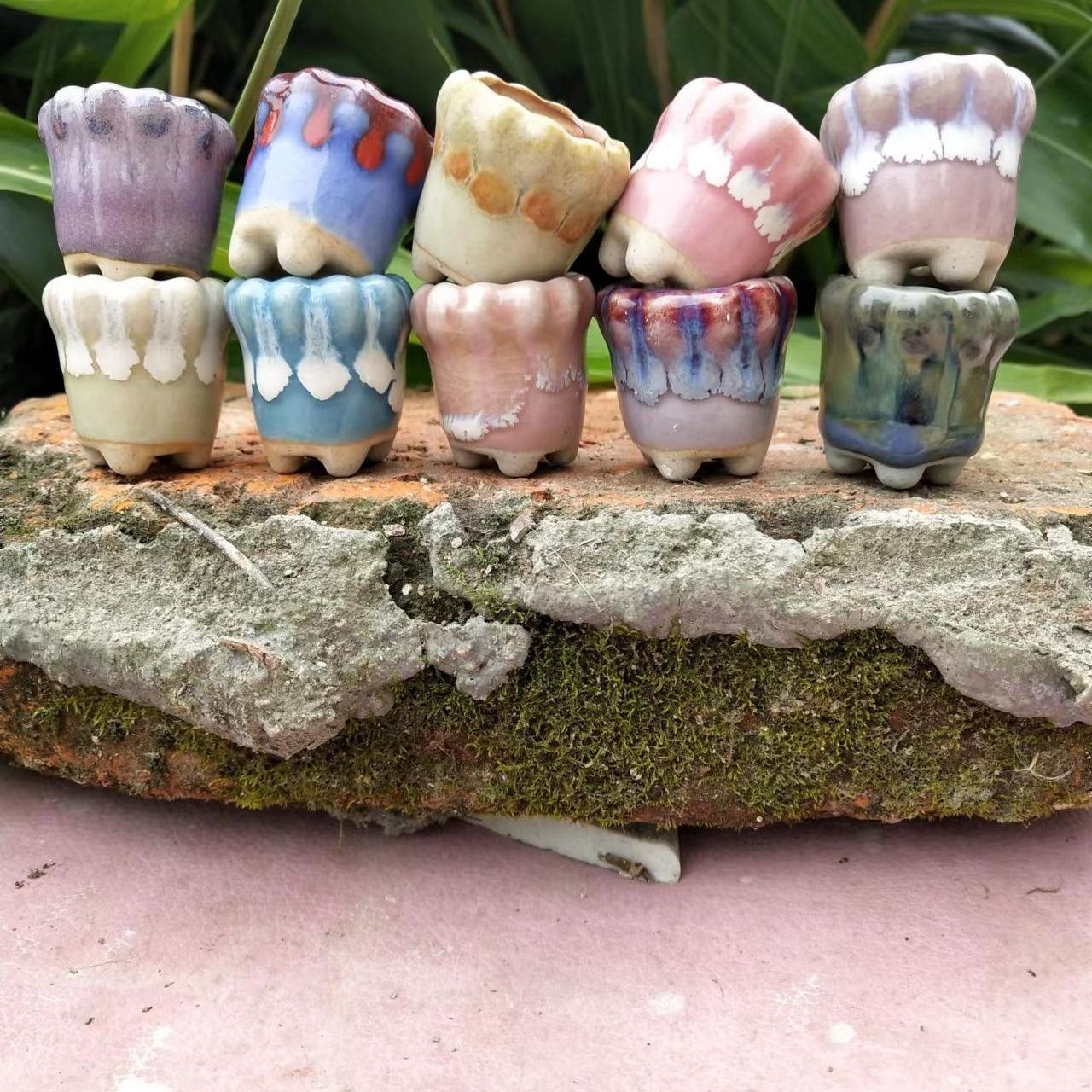 10Pcs Mini Ceramics Fowerpot M - Echeveria Succulent ulasan dan harga