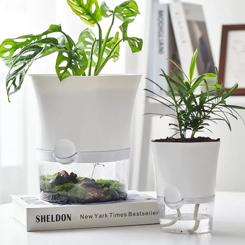 Transparent Plastic Self Water - Aloe Vera Pot ulasan dan harga