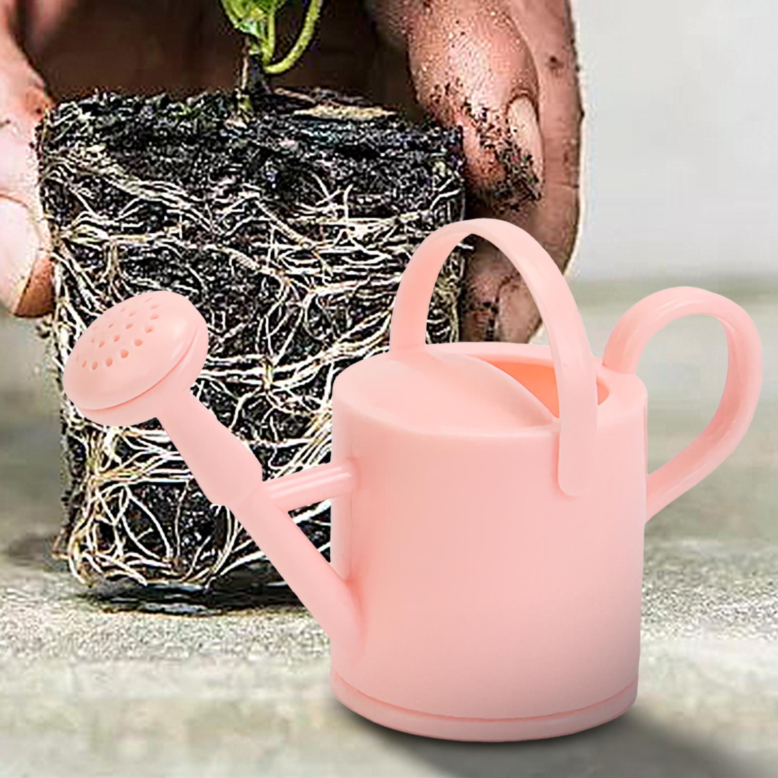 Small Kids Watering Can Flexib - Echeveria Succulent ulasan dan harga