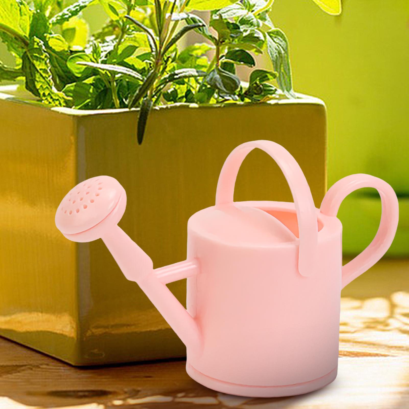 Small Kids Watering Can Flexib - Echeveria Succulent ulasan dan harga