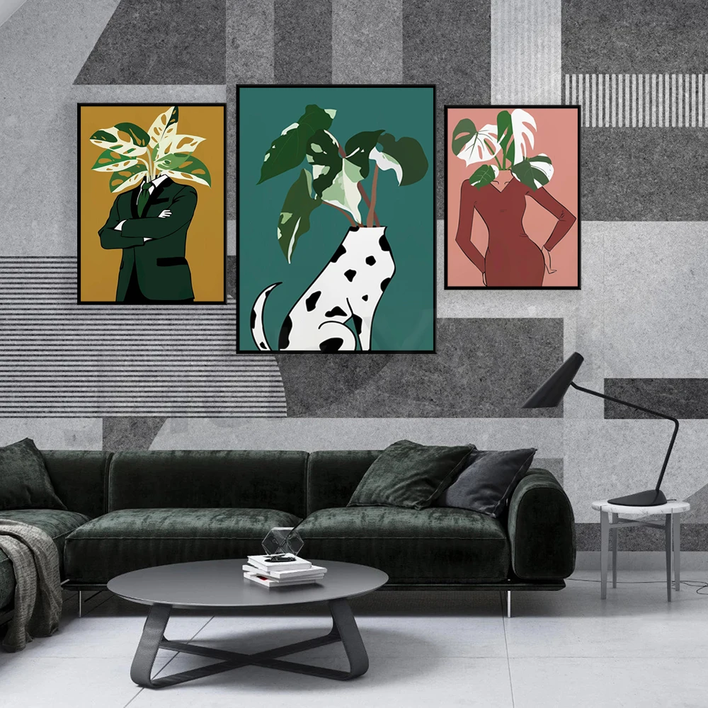 Monstera Albo in a burgundy dr - Monstera Adansonii ulasan dan harga