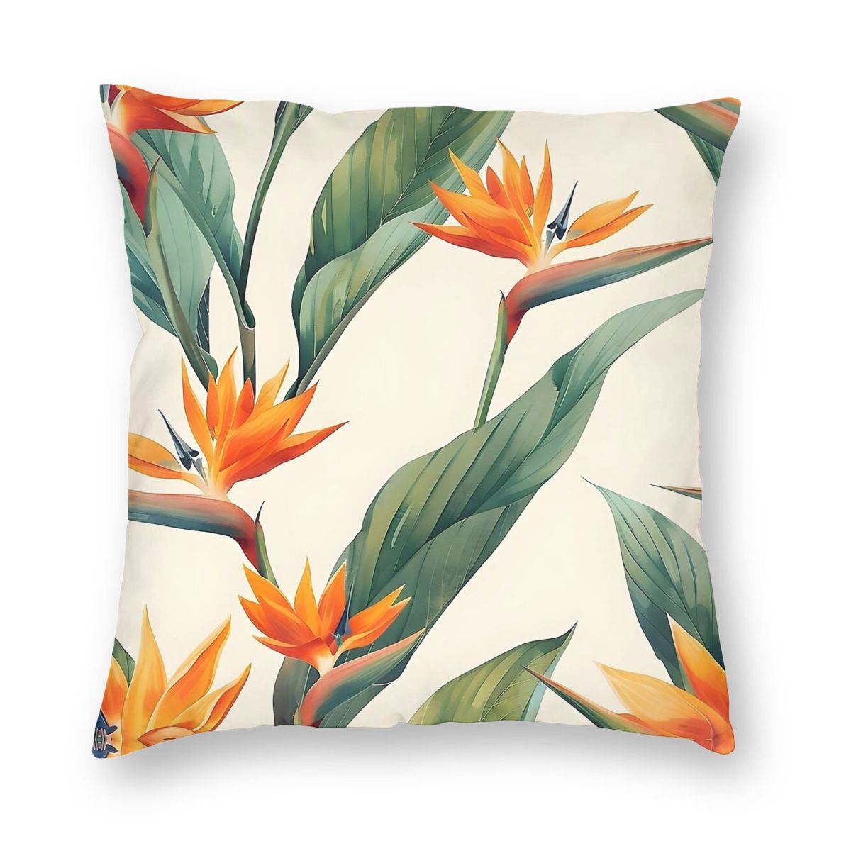 Bird Of Paradise Strelitzia Sq - Bird Paradise Strelitzia ulasan dan harga