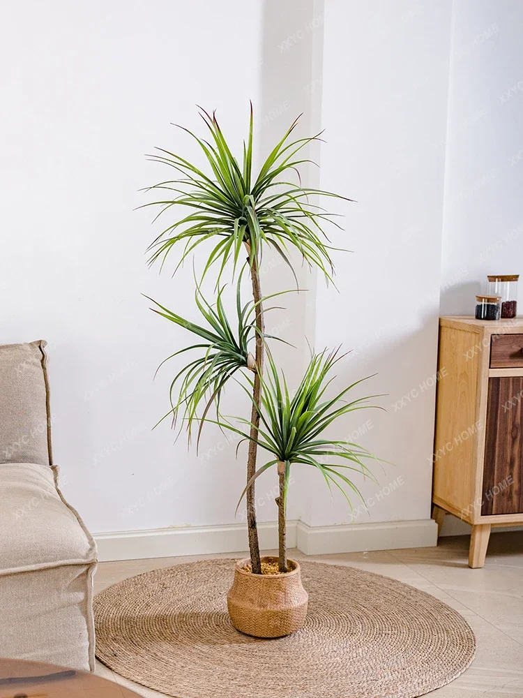 Light Luxury Simulation Green  - Dracaena Marginata ulasan dan harga