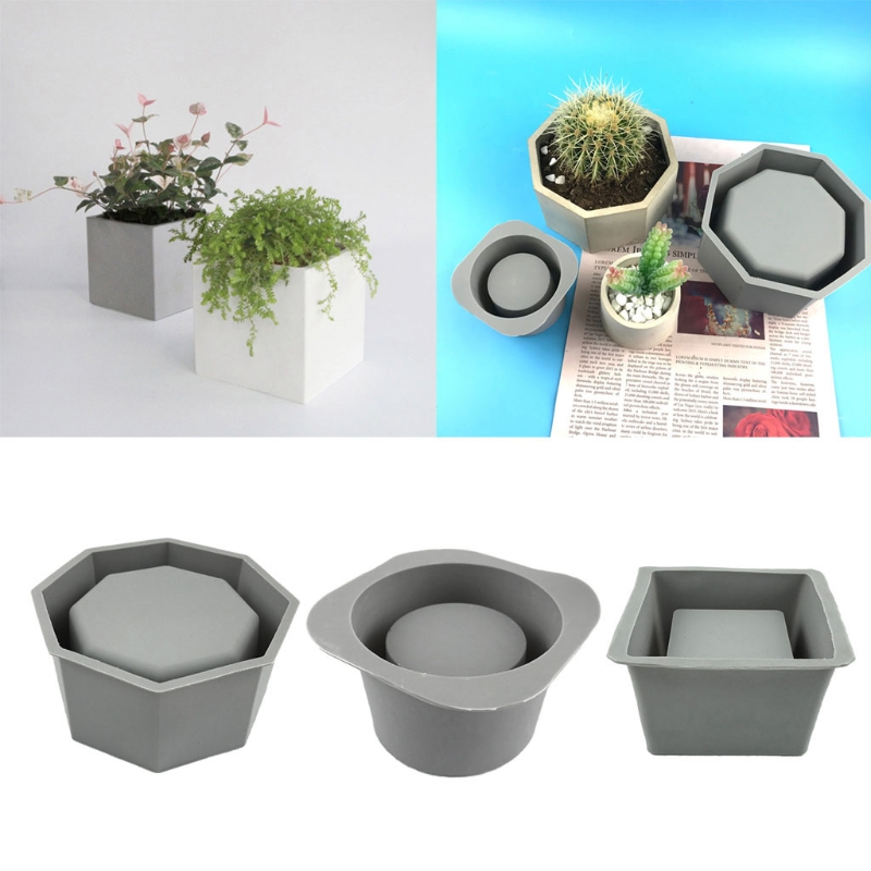 Handmade Succulent Planter Flo - Echeveria Succulent ulasan dan harga