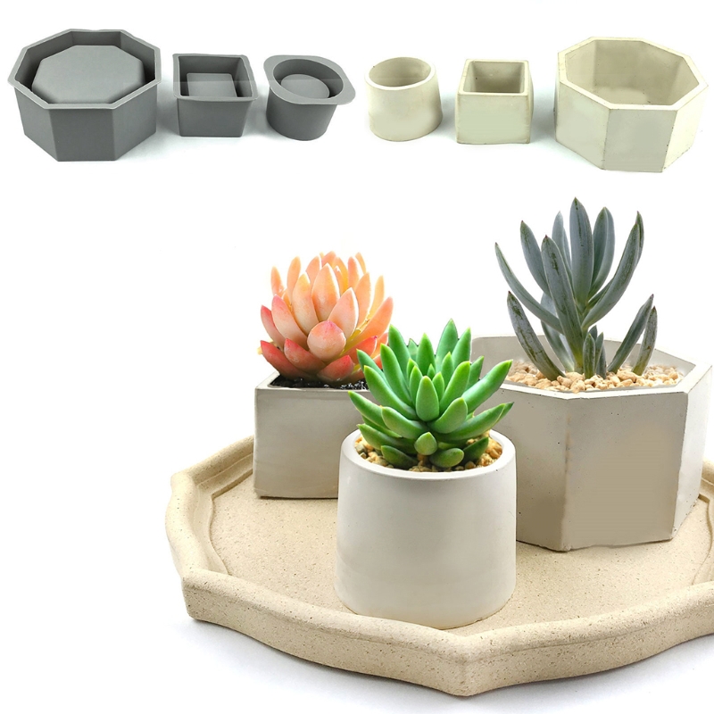 Handmade Succulent Planter Flo - Echeveria Succulent ulasan dan harga