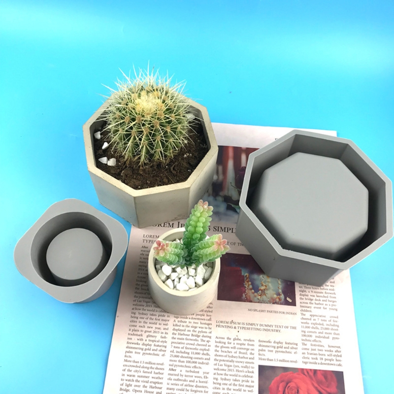 Handmade Succulent Planter Flo - Echeveria Succulent ulasan dan harga