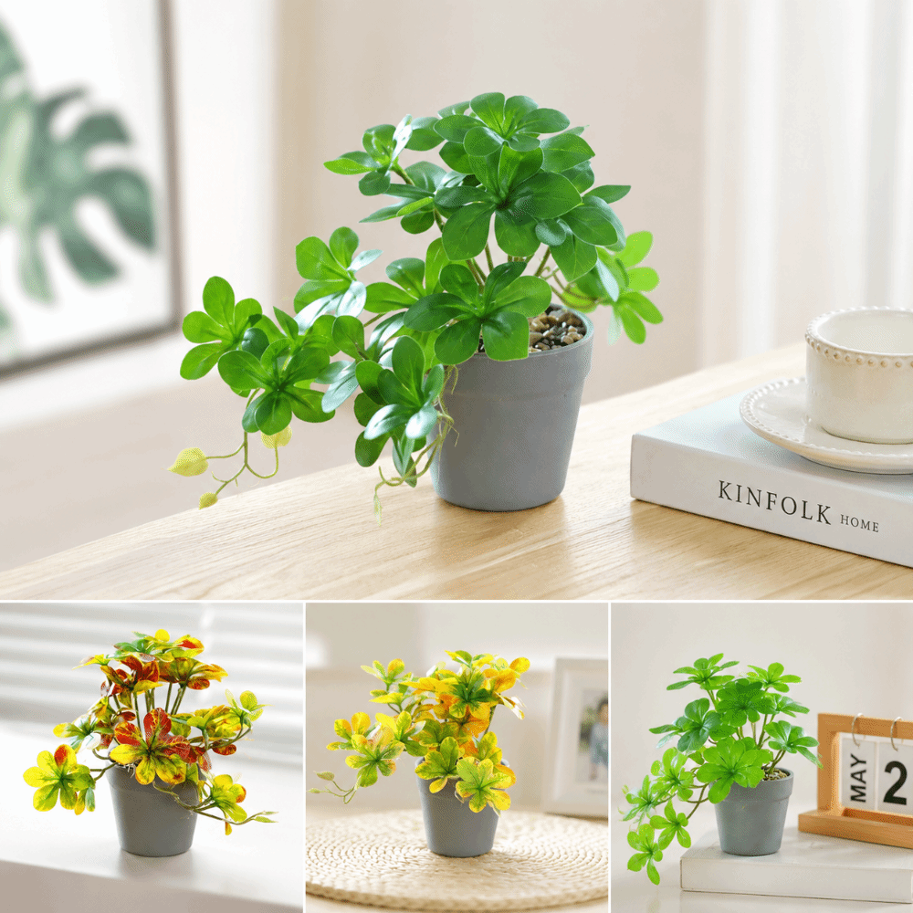 Bonsai Artificial Bonsai Plant - Spider Plant Hanging ulasan dan harga