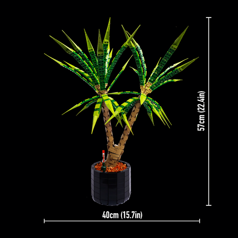 1961pcs MOC Dracaena Marginata - Dracaena Marginata ulasan dan harga