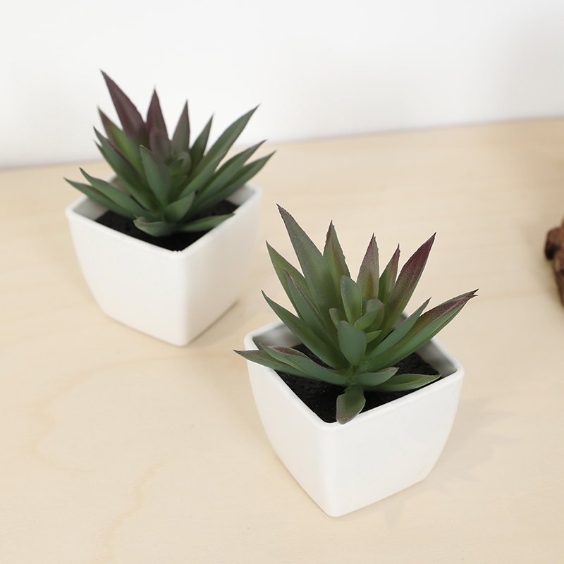 Mini Artificial Succulent Fair - Echeveria Succulent ulasan dan harga