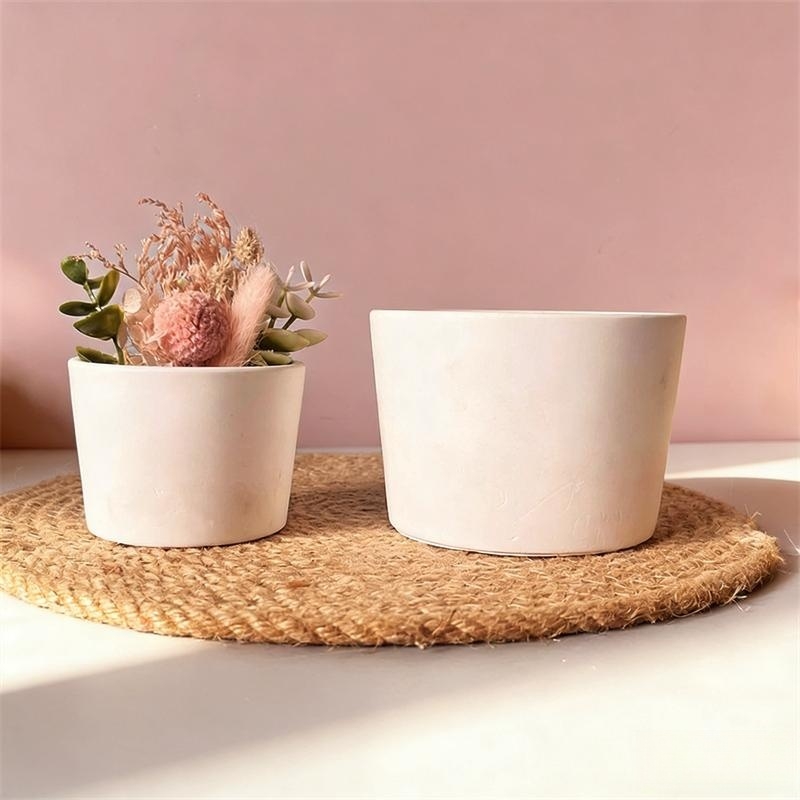 Round Plaster Vase Flowerpot C - Echeveria Succulent ulasan dan harga