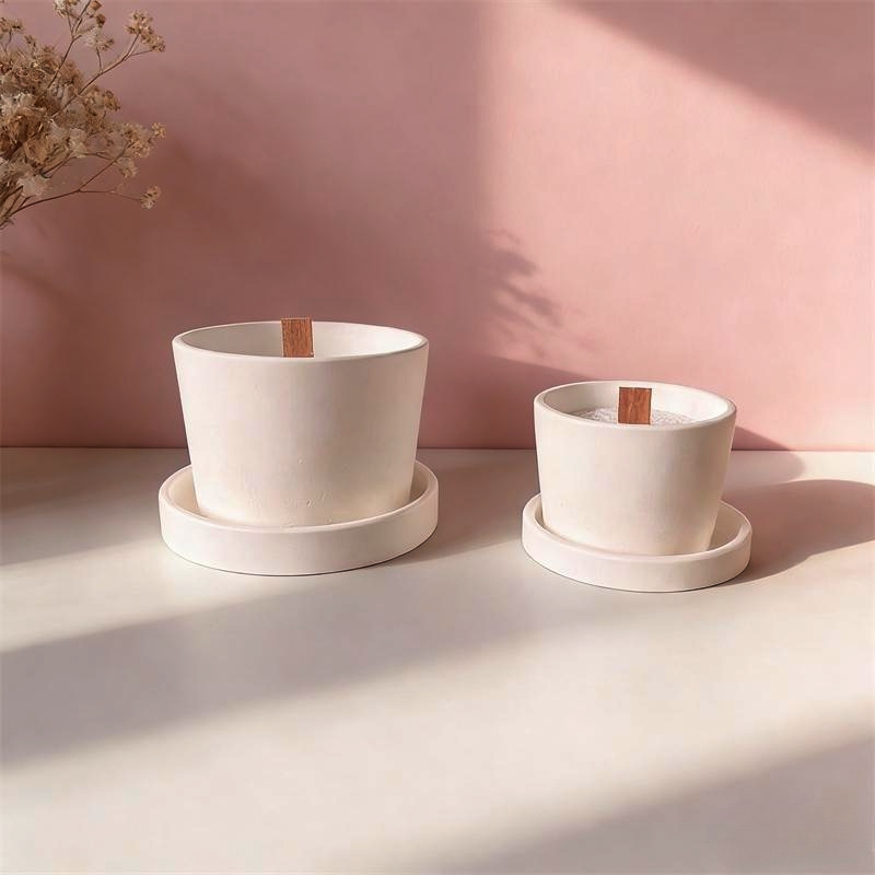 Round Plaster Vase Flowerpot C - Echeveria Succulent ulasan dan harga