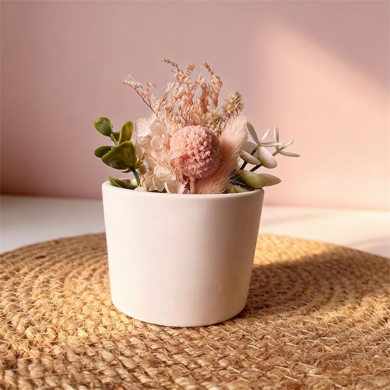 Round Plaster Vase Flowerpot C - Echeveria Succulent ulasan dan harga