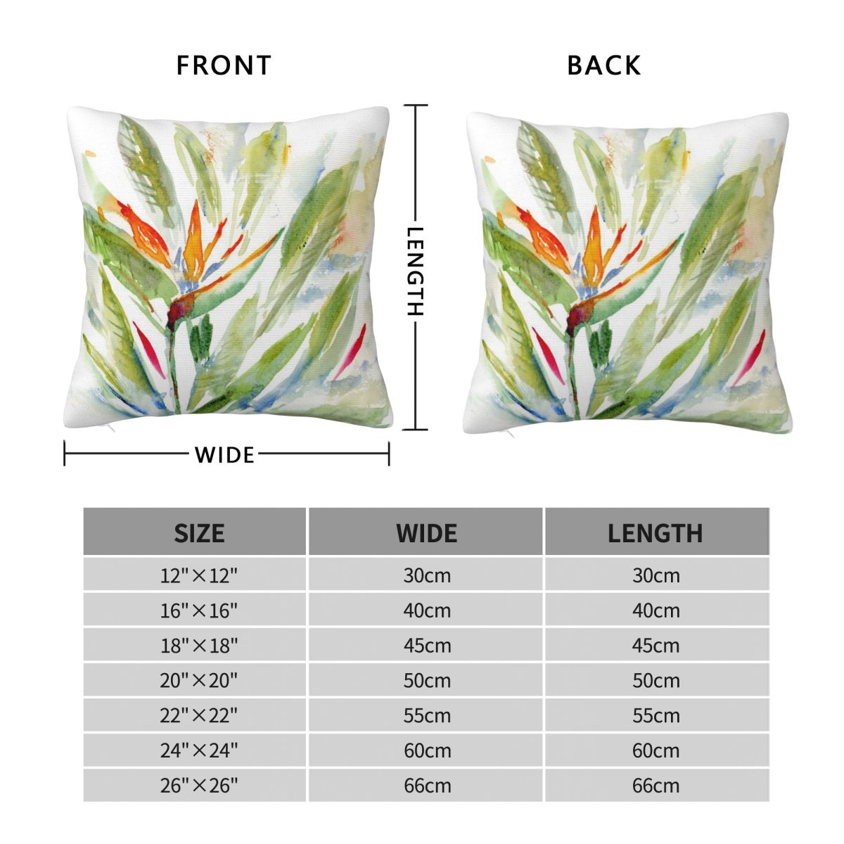 Bird Of Paradise Strelitzia Sq - Bird Paradise Strelitzia ulasan dan harga