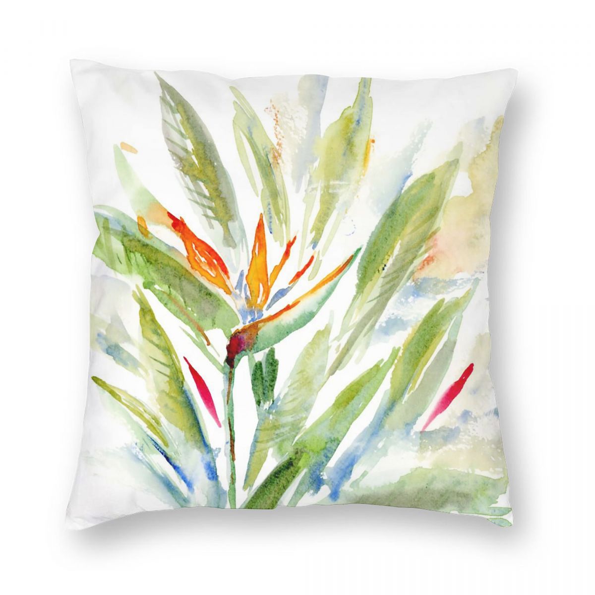 Bird Of Paradise Strelitzia Sq - Bird Paradise Strelitzia ulasan dan harga